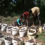 training-young-girls-urban-organic-farming-0.jpg