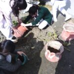 IMG_20230219_114018_830-1-1.jpg